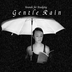 Sounds for Studying: Gentle Rain - Background Noise From TraxLab