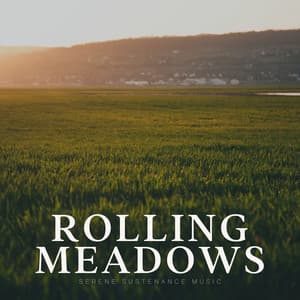 Rolling Meadows - Healing Yoga Meditation Music Consort