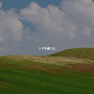 シダを感じる - Musica para Hoteles