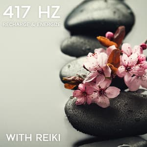 Elevate Your Vibes: 417 Hz Zen Sounds for Healing Therapy, Recharge & Energize with Reiki, Cleanse & Strengthen Your Aura, Generate Energy Flow - Reiki Raj