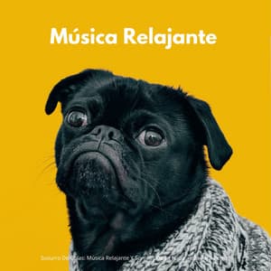 Susurro De Colas: Música Relajante Y Sonidos De La Naturaleza Para Perros - Sonido Del Bosque y Naturaleza