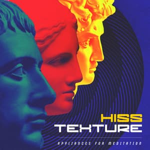 Hiss Texture - Appliances for Meditation