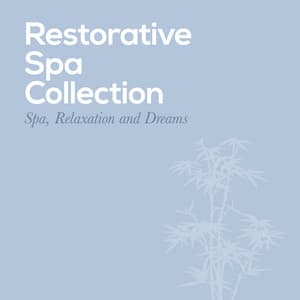 Restorative Spa Collection - Spa, Relaxation and Dreams
