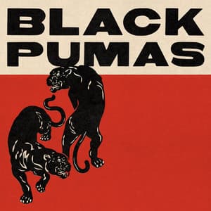 Black Pumas - Expanded Deluxe - Black Pumas