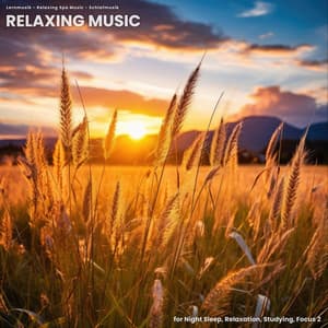 Relaxing Music for Night Sleep, Relaxation, Studying, Focus 2 - Lernmusik