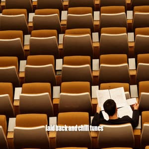 laid back and chill tunes - Study Music For Concentration