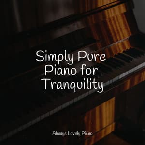 Body Harmony Sounds - Easy Listening Piano