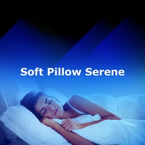 Soft Pillow Serene - Tai Chi And Qigong