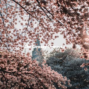 The Grassy Grooves - Jazz Trio