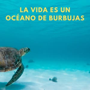La Vida Es Un Océano De Burbujas - Océano de relax