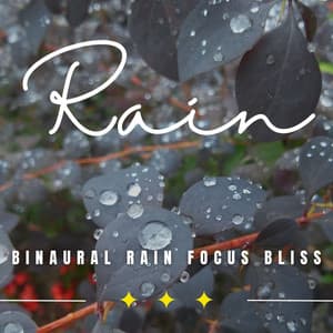 Sacred Rain Study: Binaural Rainfall Serenity - The Sound Of The Rain