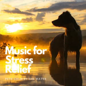 Music for Stress Relief: Pets' Calm by the Water - Epic Soundscapes