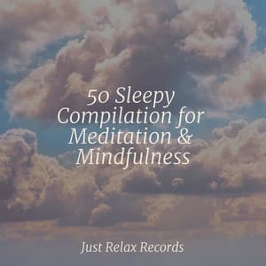 50 Sleepy Compilation for Meditation & Mindfulness - Reiki Music