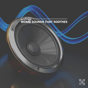 Womb Sounds That Soothes - Womb Sounds