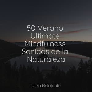 50 Verano Ultimate Mindfulness Sonidos de la Naturaleza - Musica Relajante New Age Culture