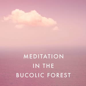 Meditation in the Bucolic Forest - Spa Musique Massage