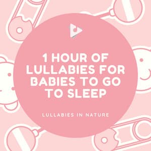1 Hour of Lullabies for Babies to Go To Sleep - Lullabies In Nature