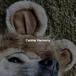 Canine Harmony - Jazz Ambiente