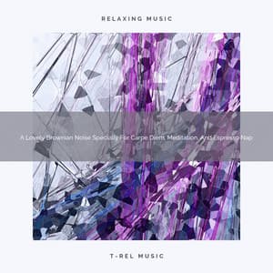 A Lovely Brownian Noise Specially For Carpe Diem, Meditation, And Espresso Nap - Soothing Noise & Sleepful Sounds