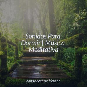 Sonidos Para Dormir | Música Meditativa - Musica Romantica Ensemble