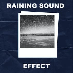 Raining Sound Effect - Rain Shower