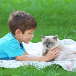 Ocean Breeze Companionship Flow: Ambient Cat Symphony Oasis - Ocean Sleep Sounds