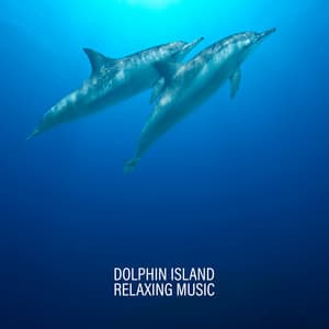 Dolphin Island: Relaxing Music of the Tropical Ocean - Hypnosis Nature Sounds Universe