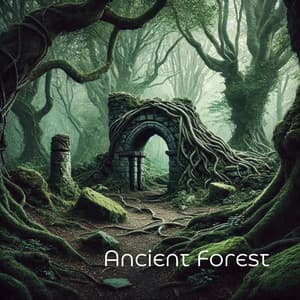 Ancient Forest - Nature Tribe