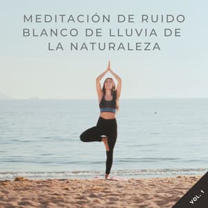 Meditación De Ruido Blanco De Lluvia De La Naturaleza Vol. 1 - El Ruido Blanco