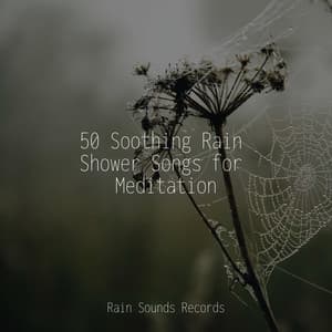 50 Soothing Rain Shower Songs for Meditation - Sonidos de la Naturaleza Relajacion