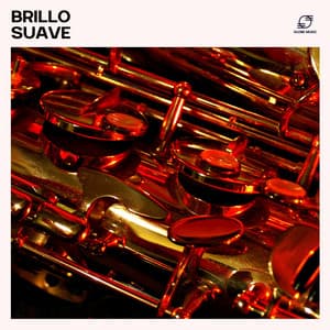 Brillo Suave: Jazz Suave - Academia de Música Sensual