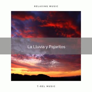 2021 La Lluvia y Pajaritos - Academia de Música con Sonidos de la Naturaleza