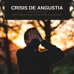 Crisis de Angustia: Música Tranquila para Calmar la Ansiedad, el Miedo y los Nervios Extremos - Ansiedade Tratamento