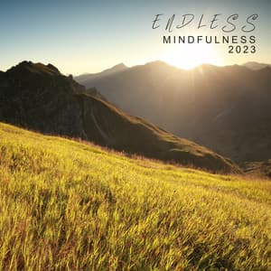 Endless Mindfulness 2023 - Meditation Music Club