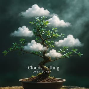 Clouds Drifting Over Bonsai - Ancient Asian Oasis