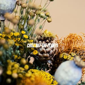 CHILL OUT THE PLANTS - Study Playlist
