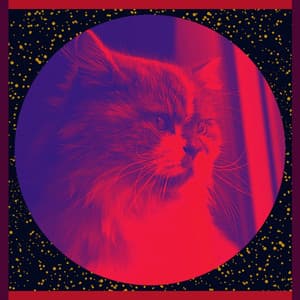 Backdrop for Quirky Cats - Cat Music Waves