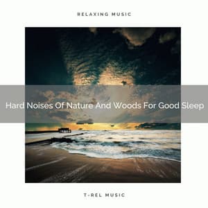 Hard Noises Of Nature And Woods For Good Sleep - Noise Makers
