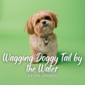 River Sounds: Wagging Doggy Tail by the Water - Water Sounds