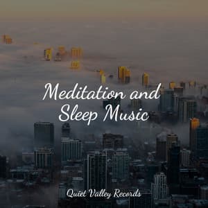 Meditation and Sleep Music - Sleep Rain