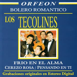 Los Tecolines: Bolero Romántico - Los Tecolines