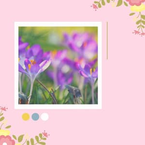 Relax Music Therapy - Background Music - Massage Spa Playlist