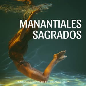 Manantiales Sagrados: Música Relajante De Melodías De Agua - Canciones de la naturaleza Música de la naturaleza
