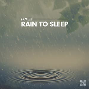 Rain to Sleep - Rainforest Ambience