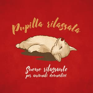 Pupilla rilassata: Suono rilassante per animali domestici - Animali Domestici Unità