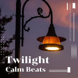 Twilight Calm Beats - Serene Sounds for a Peaceful Sunset - Laid Back Academy