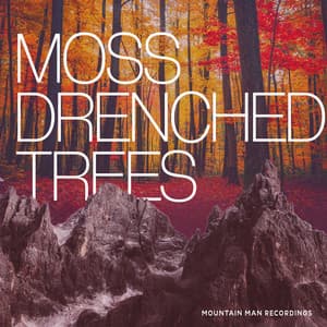 Moss Drenched Trees - Mountain Man Recordings