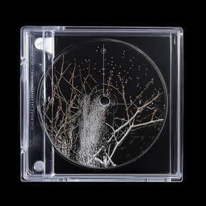 Meraviglie alate del Bosco - Suoni Naturali