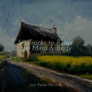 50 Tracks to Relax the Mind & Body - Relajacion Del Mar