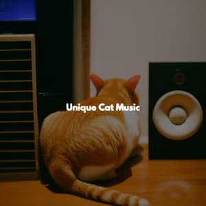 Unique Cat Music - Downtempo Jazz Beats
